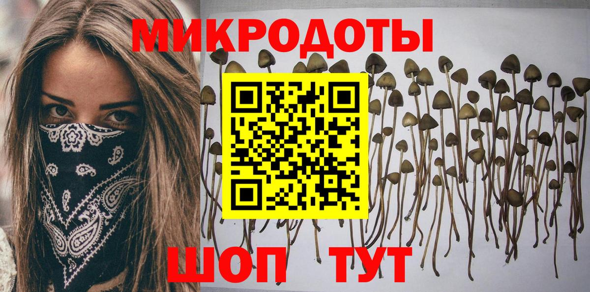 Псилоцибиновые грибы GOLDEN TEACHER Гатчина