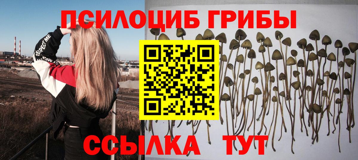 Галлюциногенные грибы Magic Shrooms  Псилоцибиновые грибы Magic Shrooms  Гатчина  Вход с VPN 